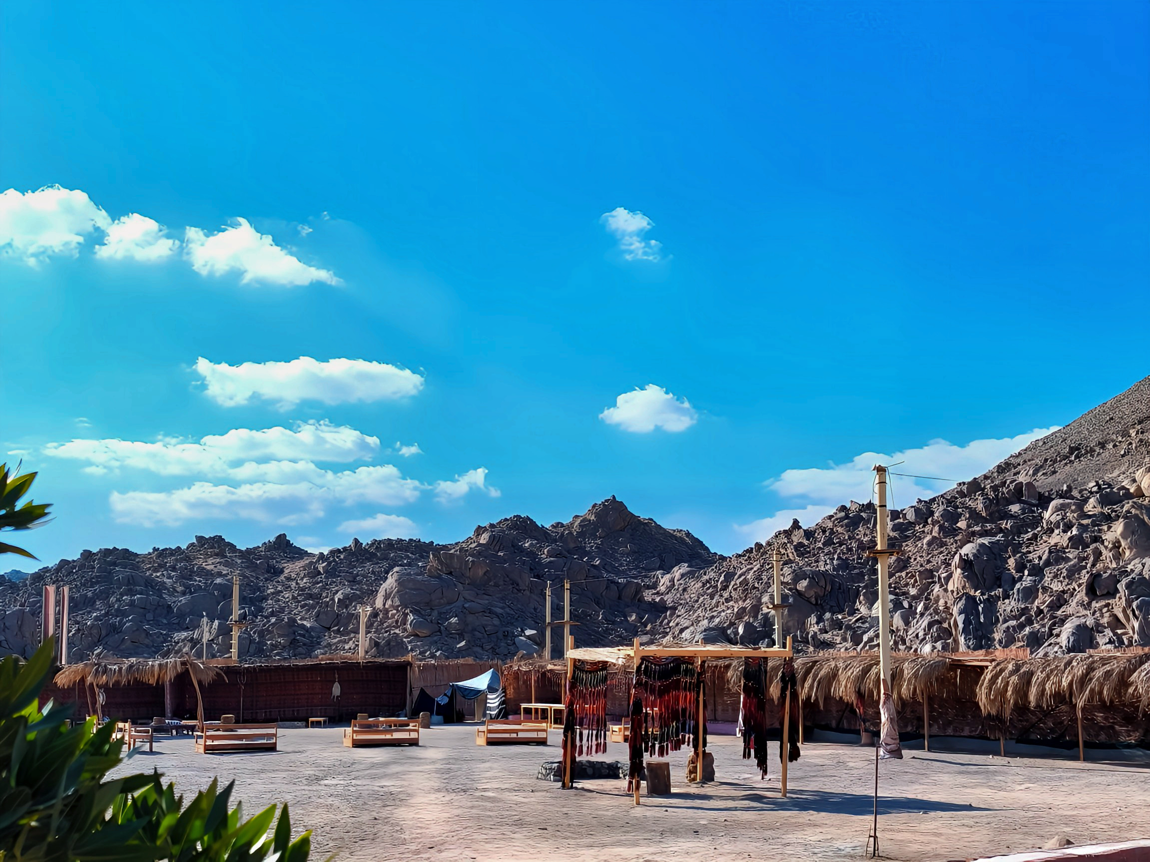 IMG_20250107_134547-1