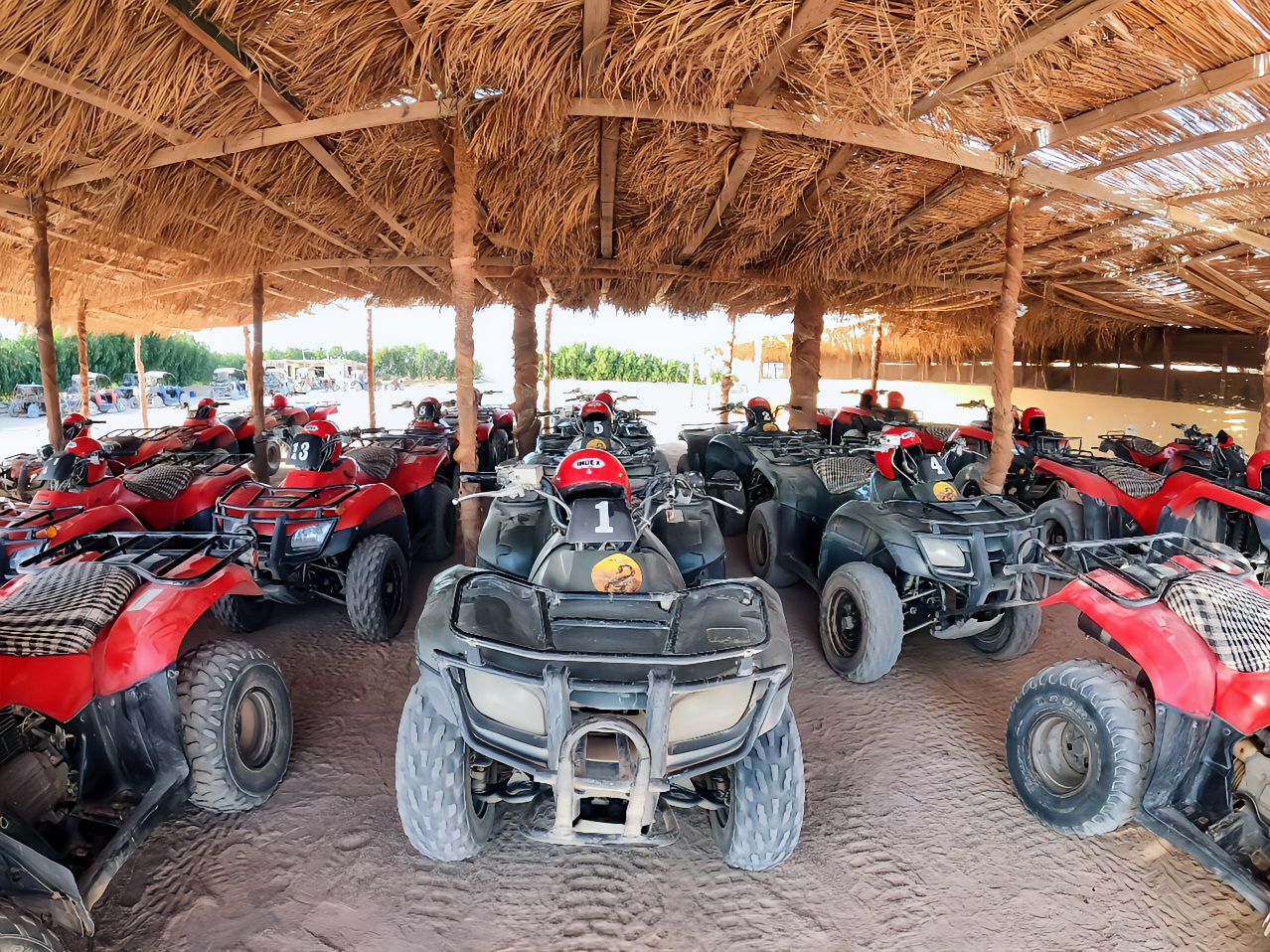 Quad_G10
